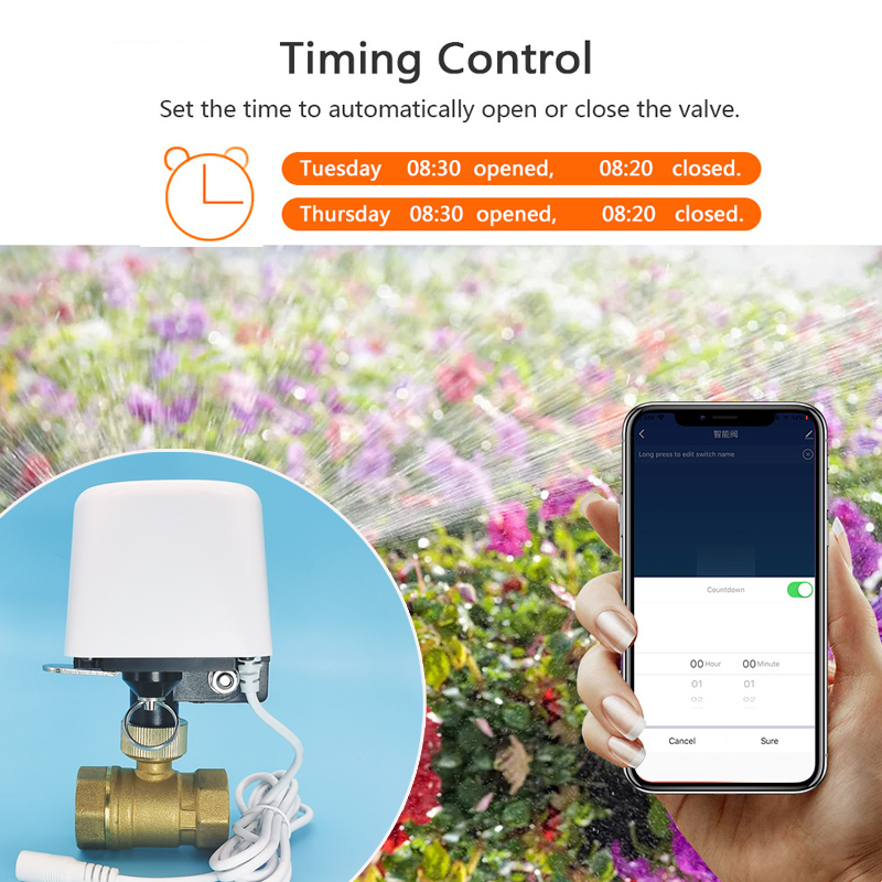 Válvula de Agua Inteligente Tu - Smart Home Wiz reseña y precio