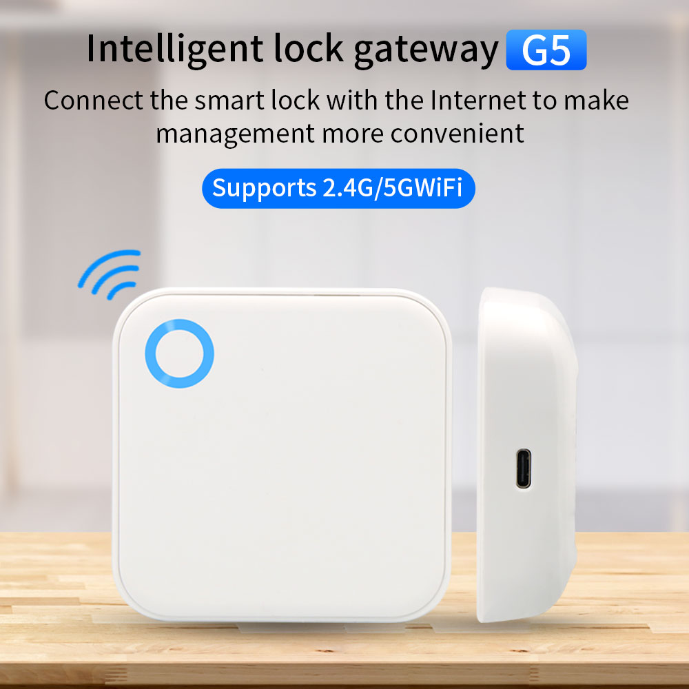 2,4G + 5G TTLOCK WIFI Gateway  - Smart Home Wifi Hub reseña y precio