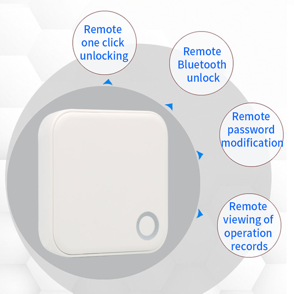 2,4G + 5G TTLOCK WIFI Gateway  - Smart Home Wifi Hub reseña y precio