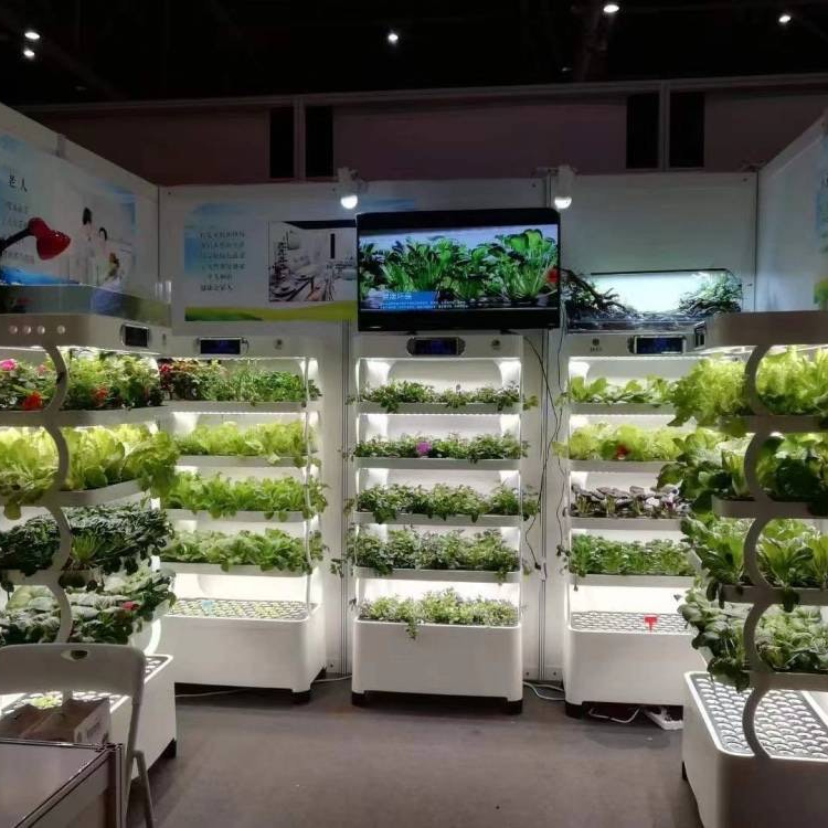 Sistema de Cultivo Hidropónico - Smart Home System reseña y precio