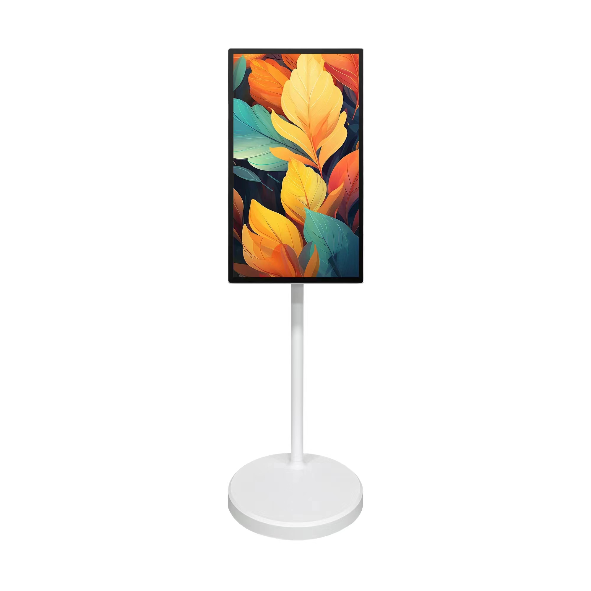 Monitor de pantalla táctil móv - Smart Home Display reseña y precio