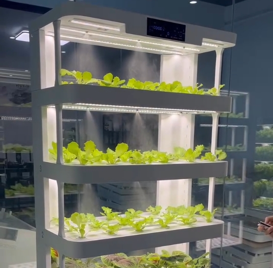 Máquina de cultivo hidropónico - Smart Home System reseña y precio